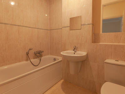 Picture 7